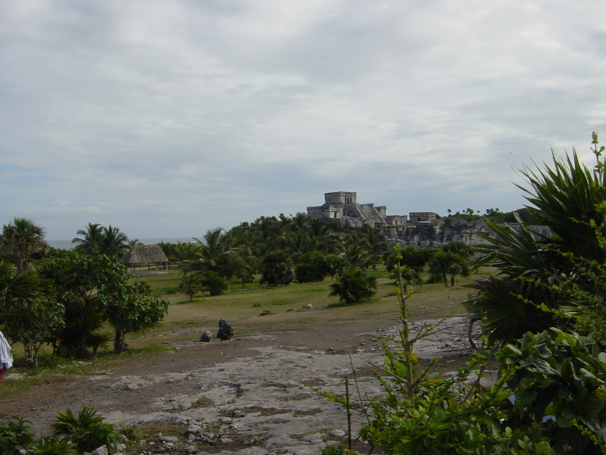 The Mayans' use of tarpaulins was impressive 