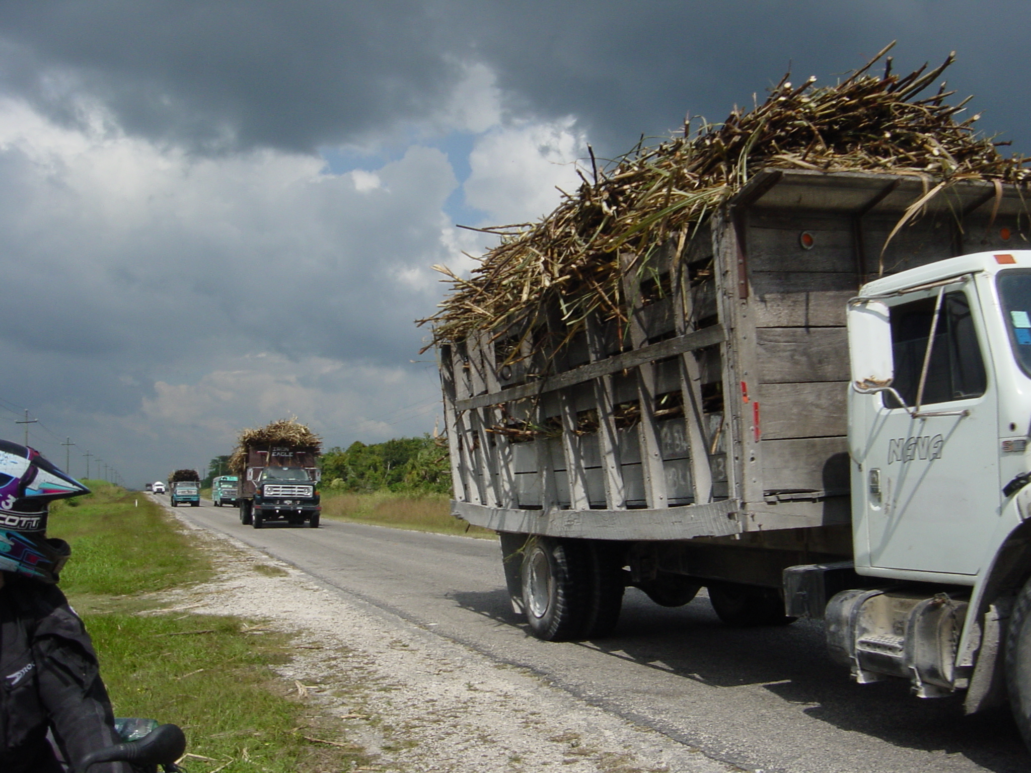 Cane trucks 