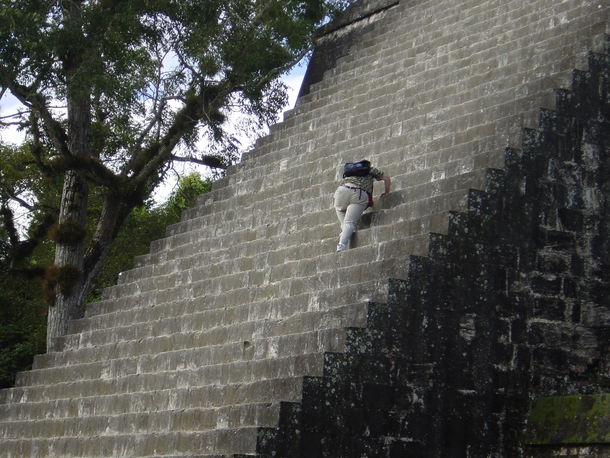 Is it male or female? Going up or down? - It's a bloke and he is going down. It took us 10 minutes to work it out 