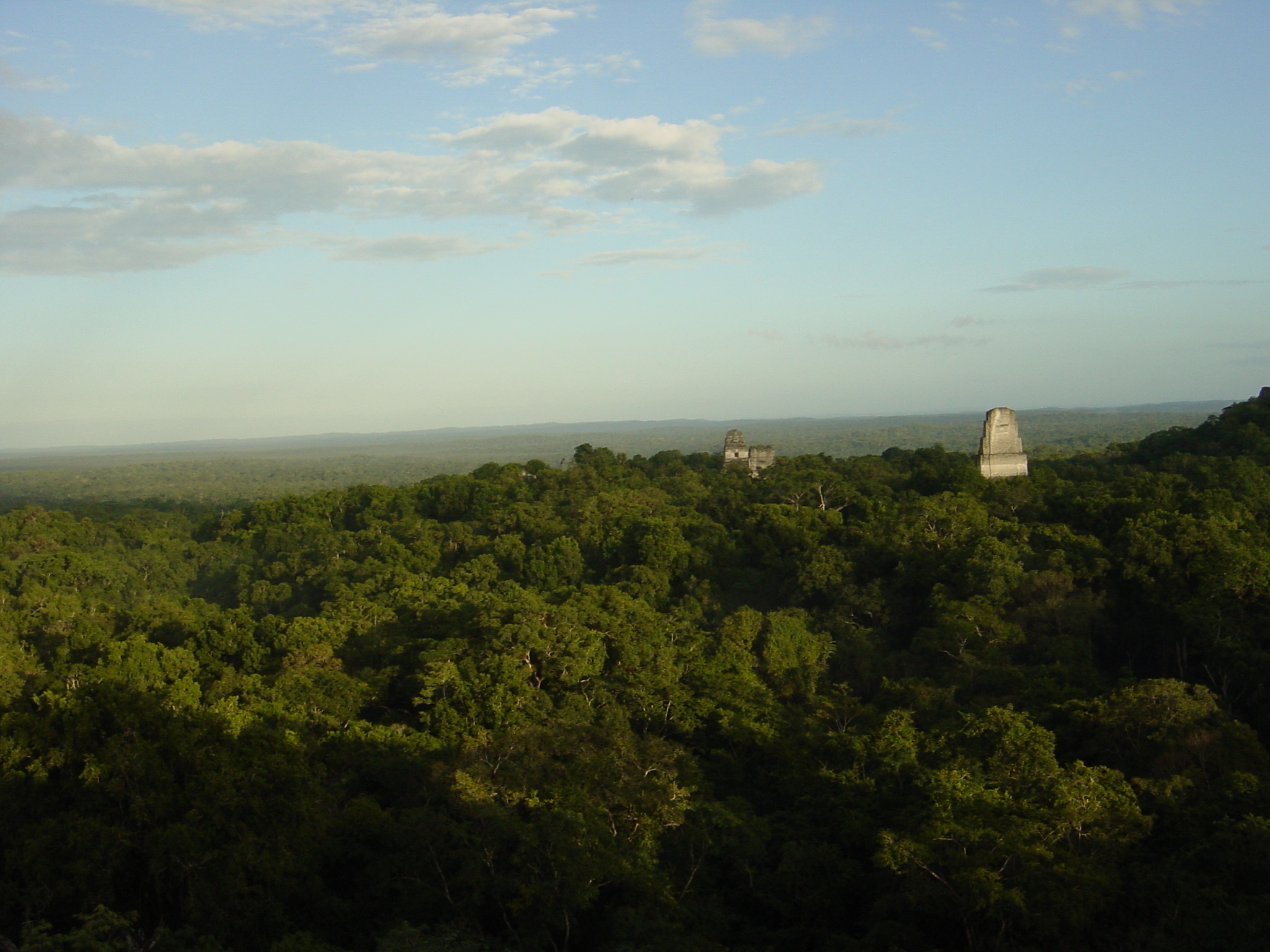 Tikal from top of temple 4 - this was used in Star Wars as the home planet of those ewoks.... so some nerd told us