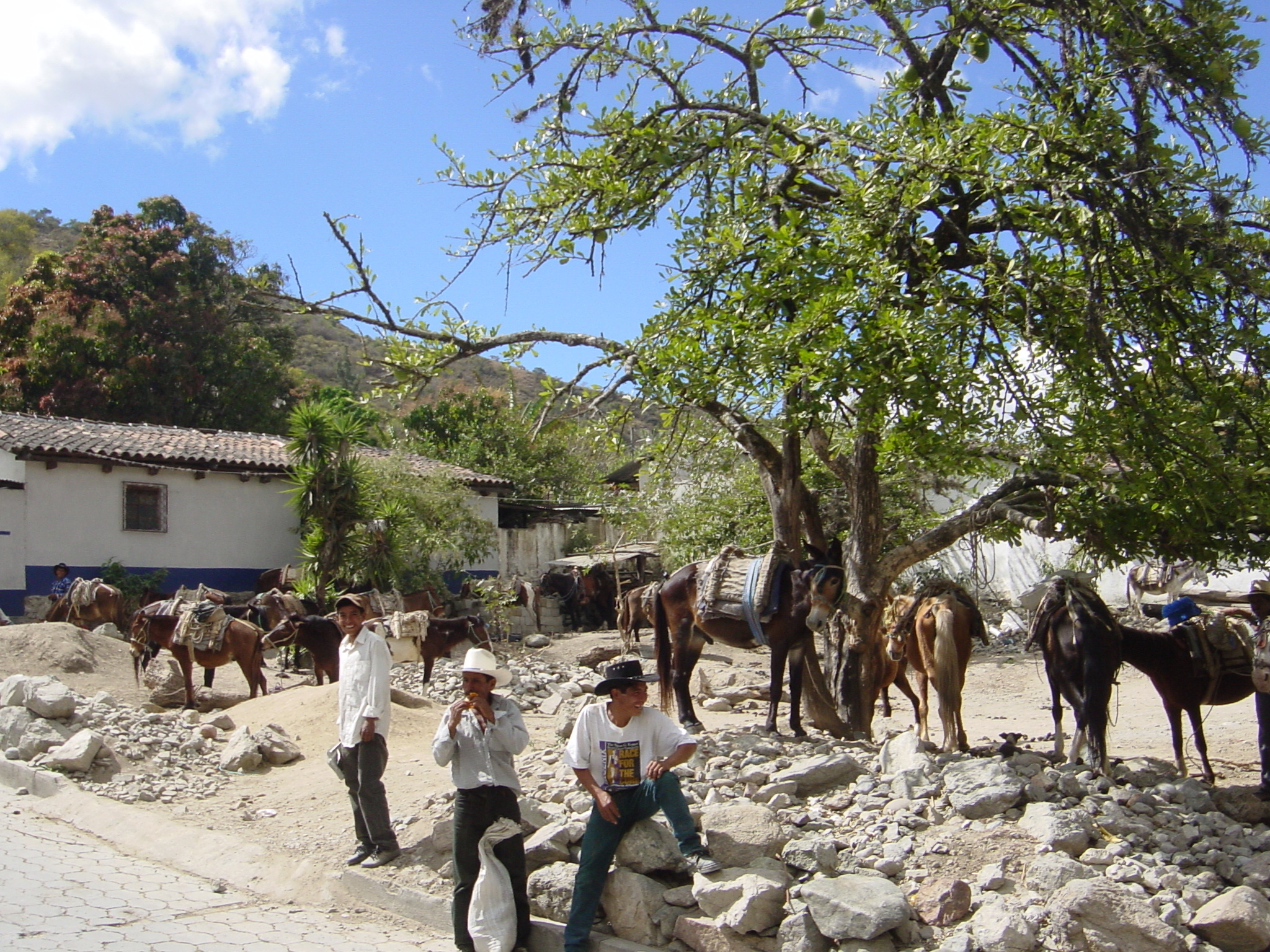 Market day and in this empty block near the police station the cargo trucks are being readied 