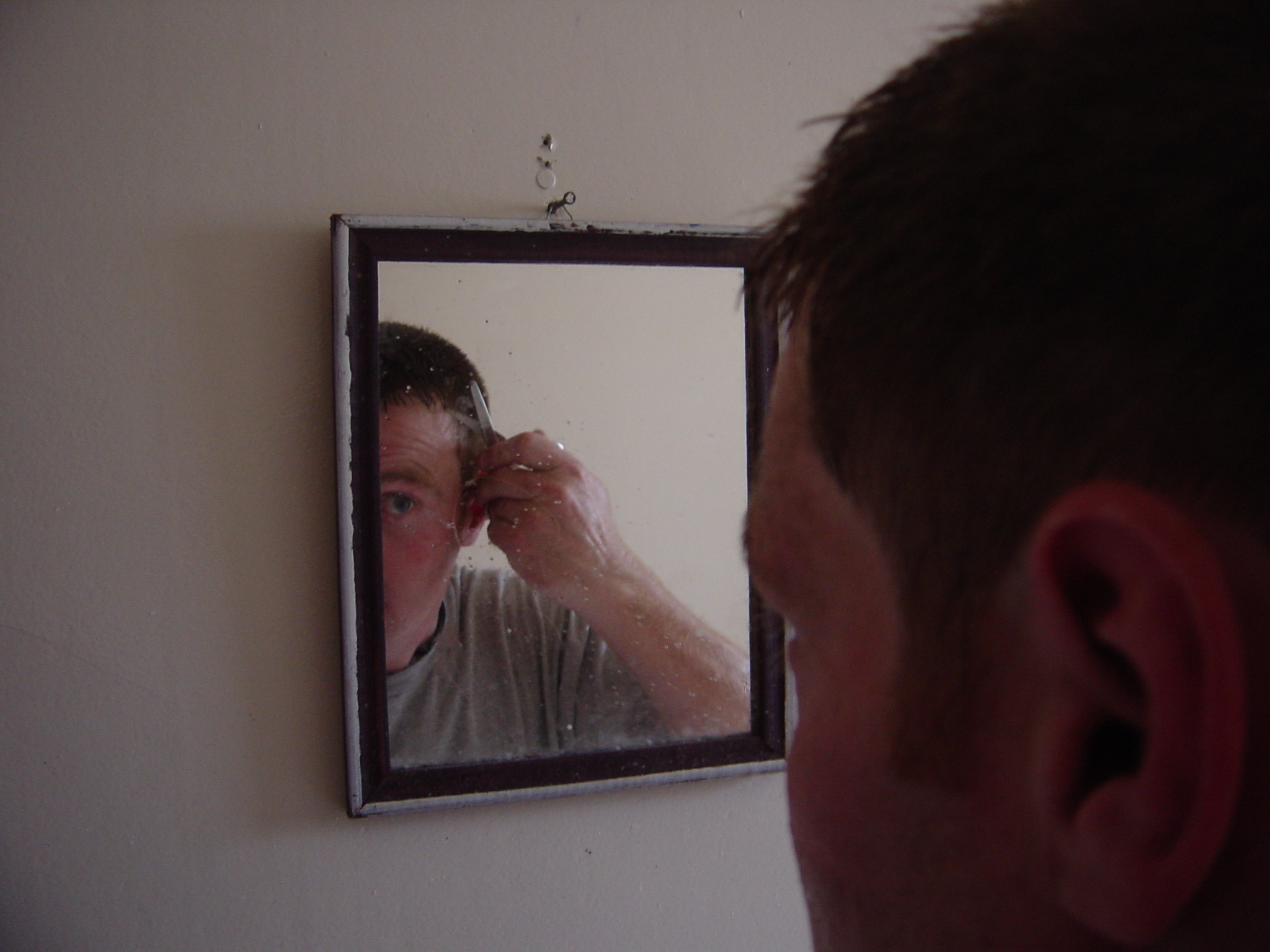 After winning the rudest haircut of the year, Boxy tries to perform some hairdressing maintenance on himself.