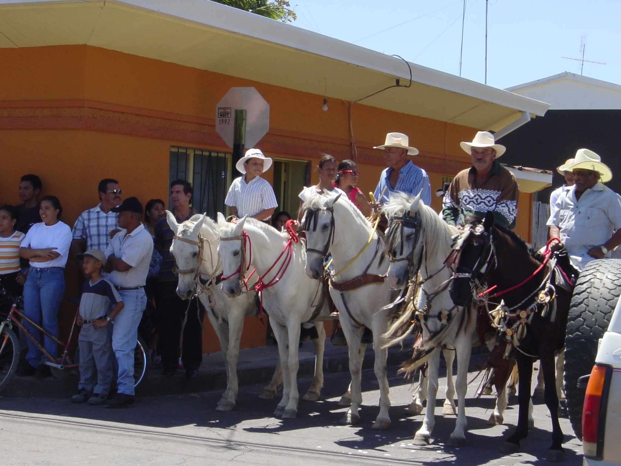 Bring your horse - get a better view of the parade