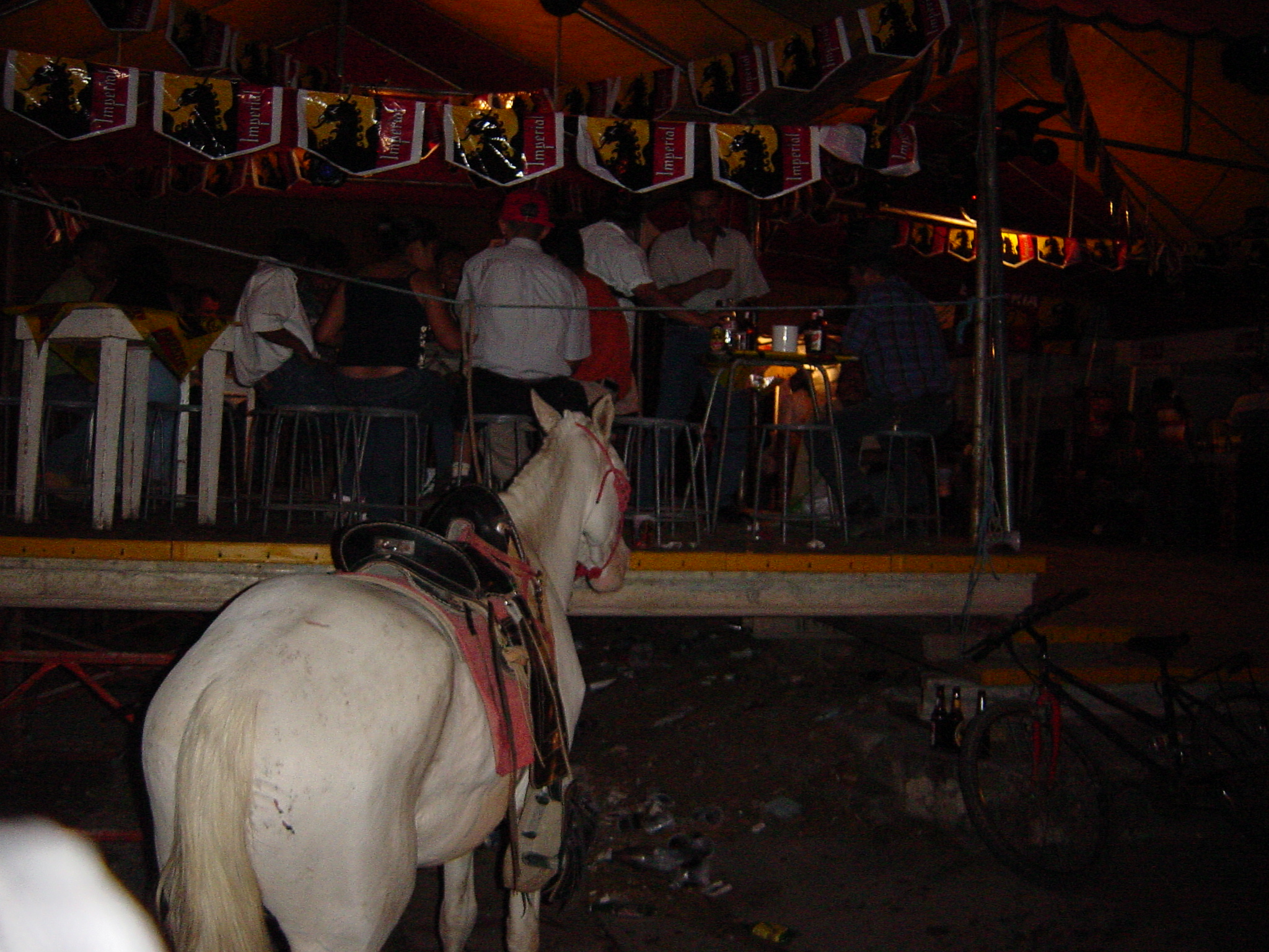 Even the horses want to drink