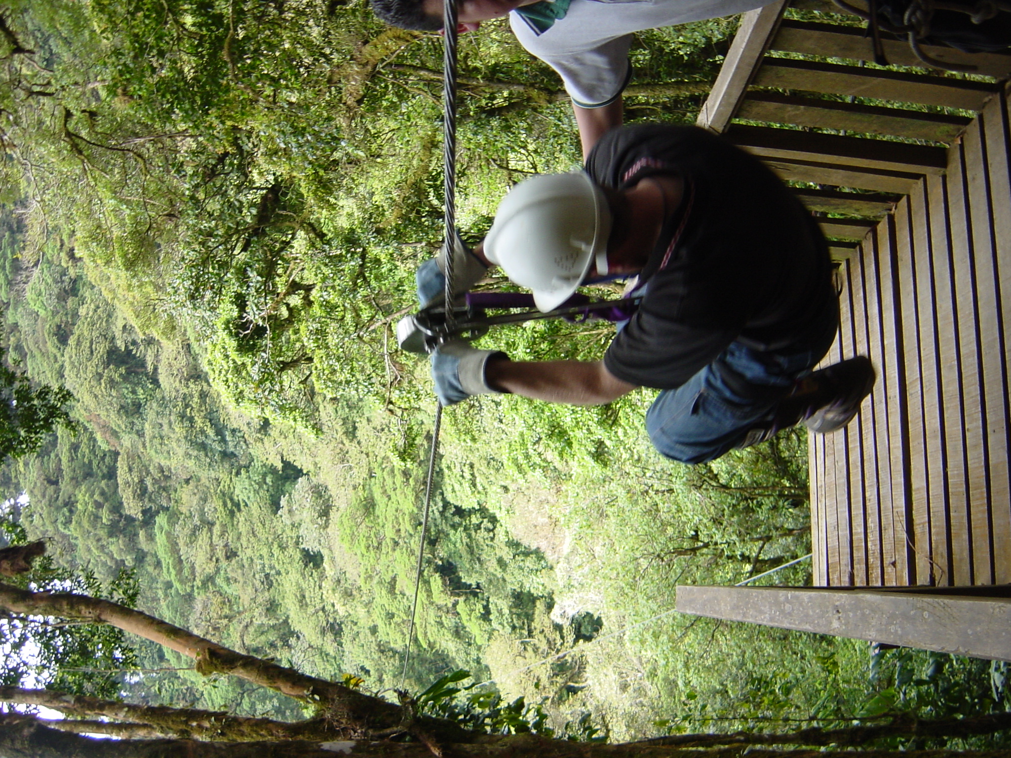 A Cable rides in the canopy of the Monteverde Forest - Costa Rica 