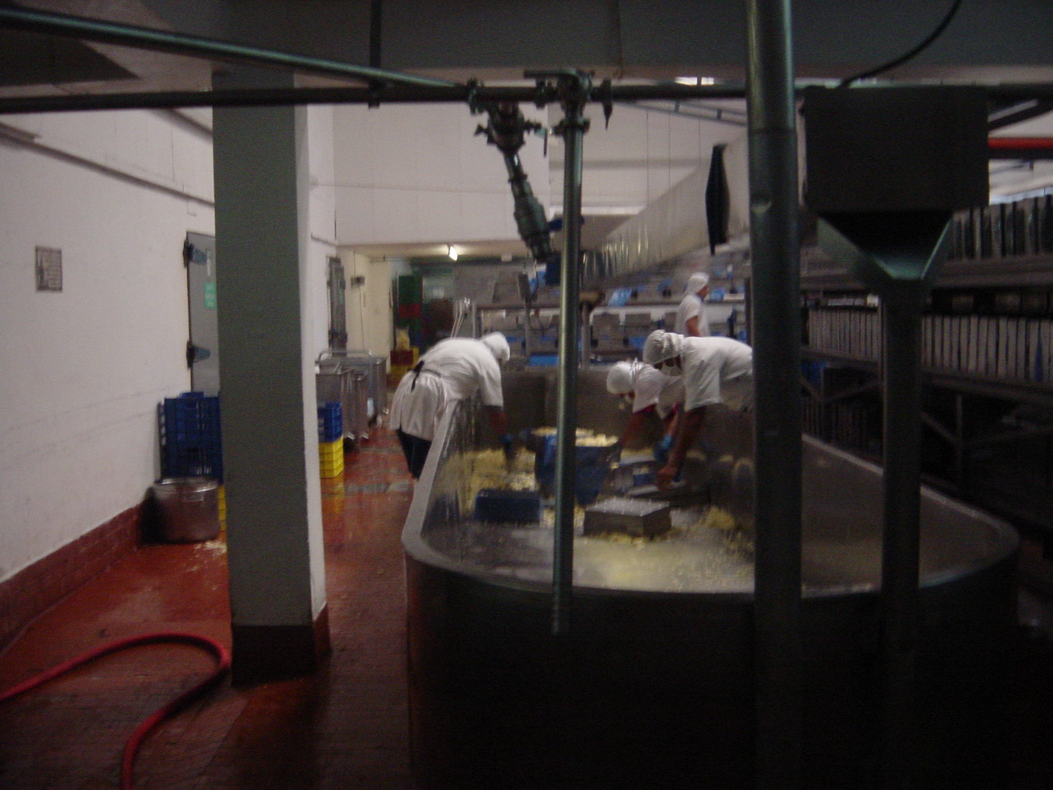 Cheese making 