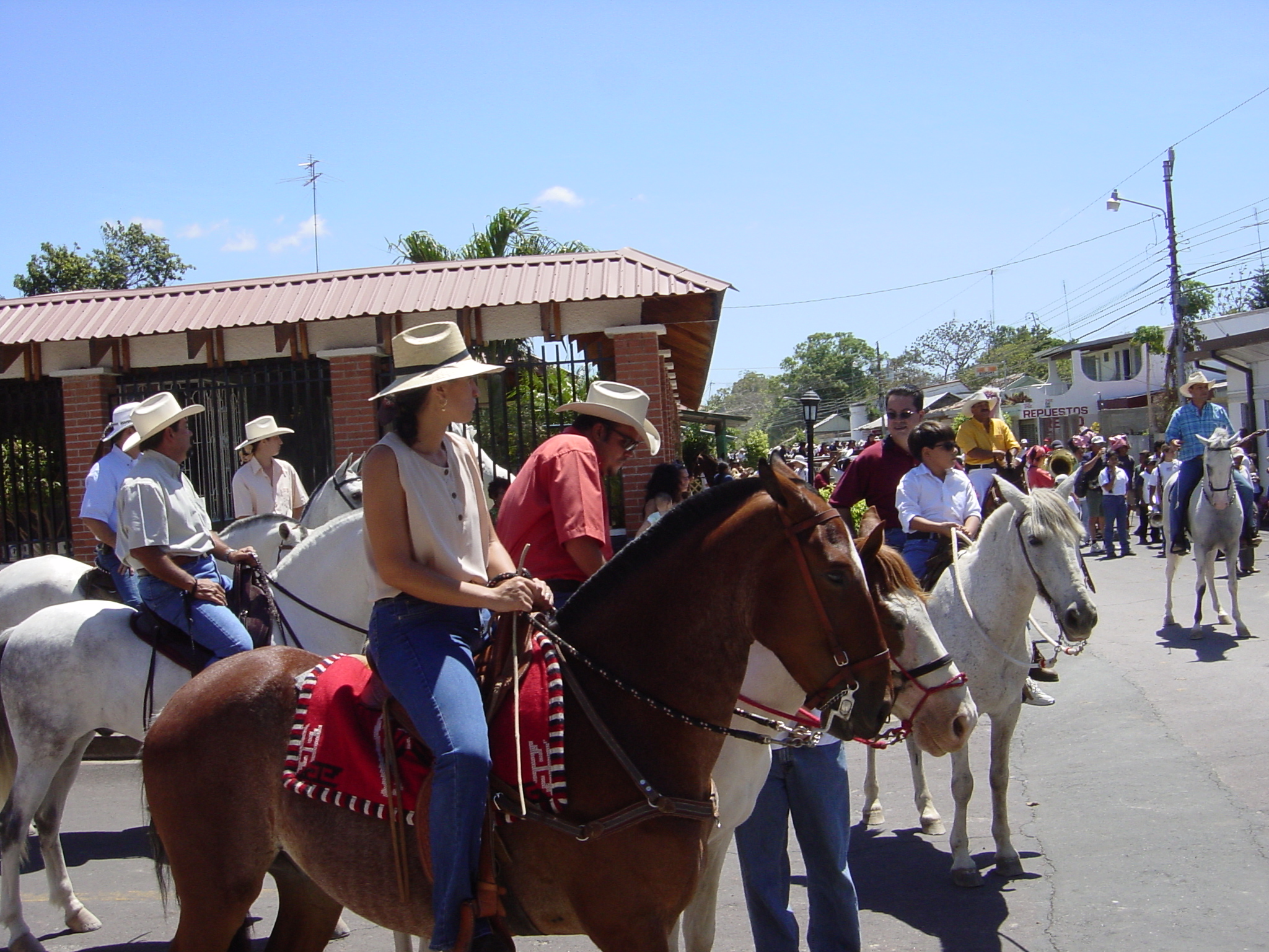 Horses everywhere .... we have horse power, motorbikes are better