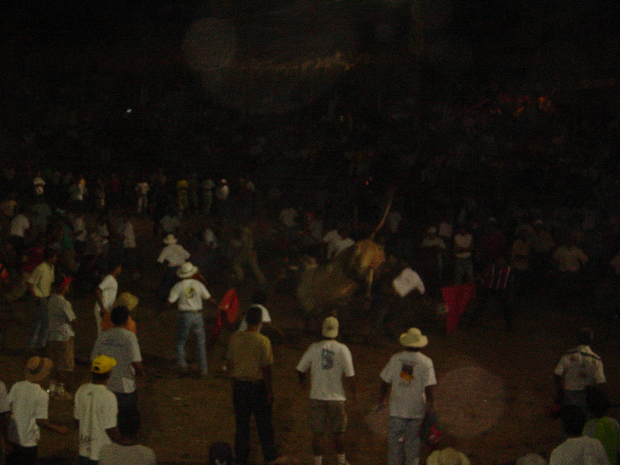 The bull is clearly the winner every time at this event. 