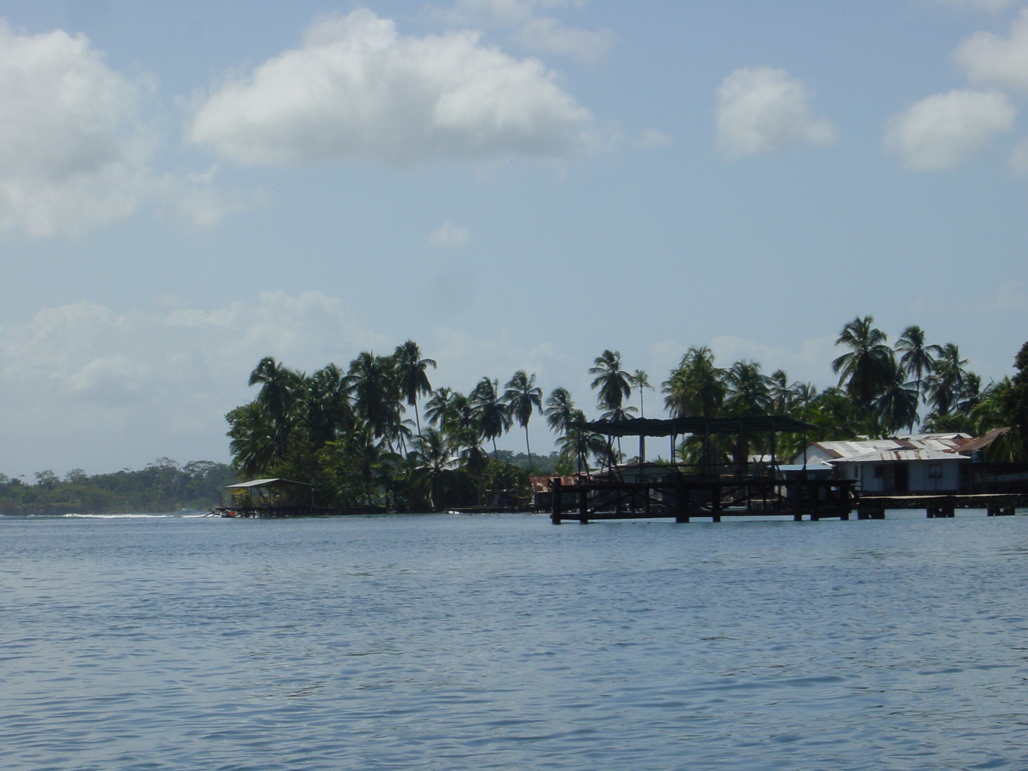 Enjoying a taxi ride, admiring typical Caribbean panorama