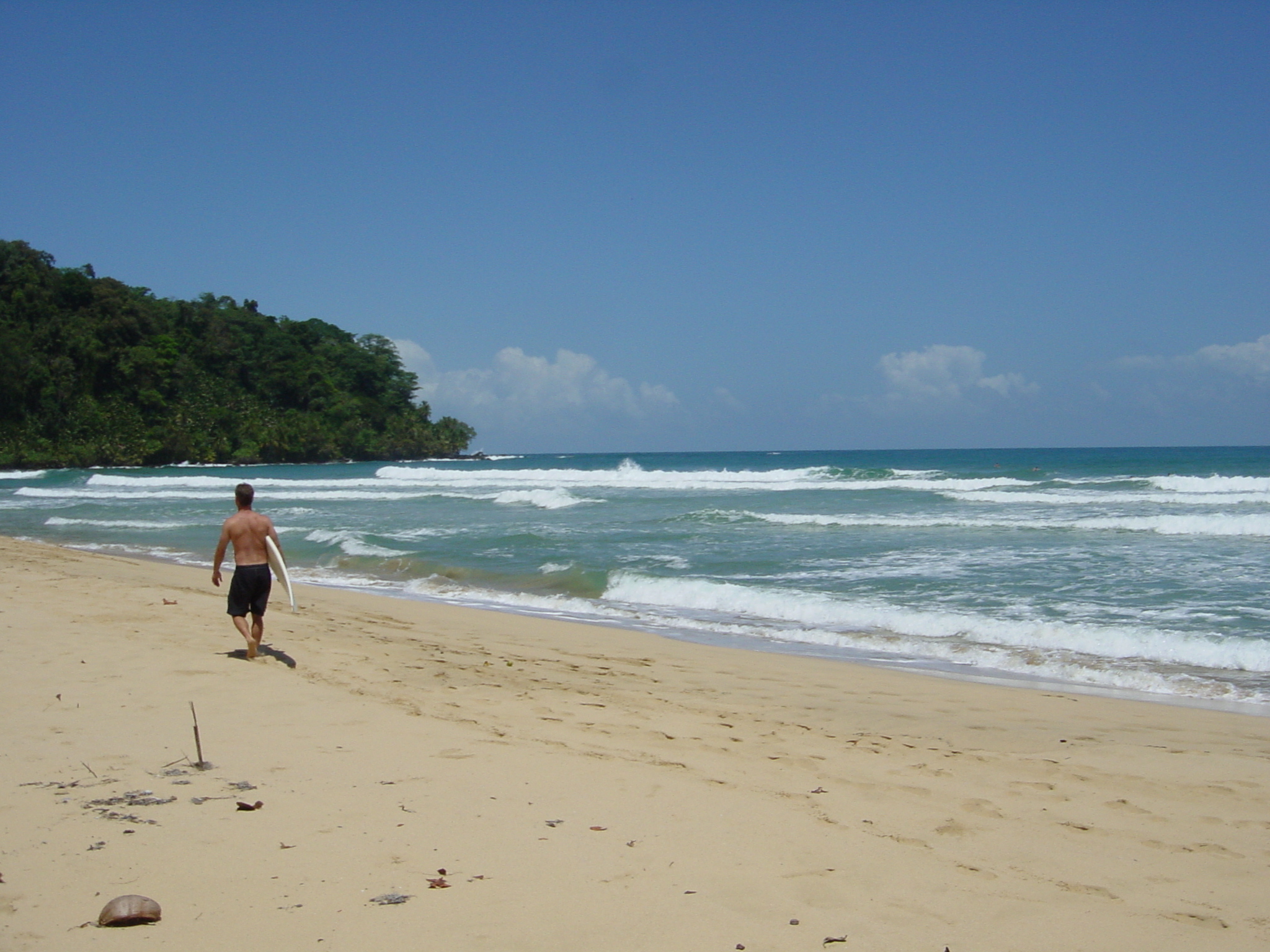 Cowabunga - Wizard Beach, Bocas del Toro, Caribbean, Panama