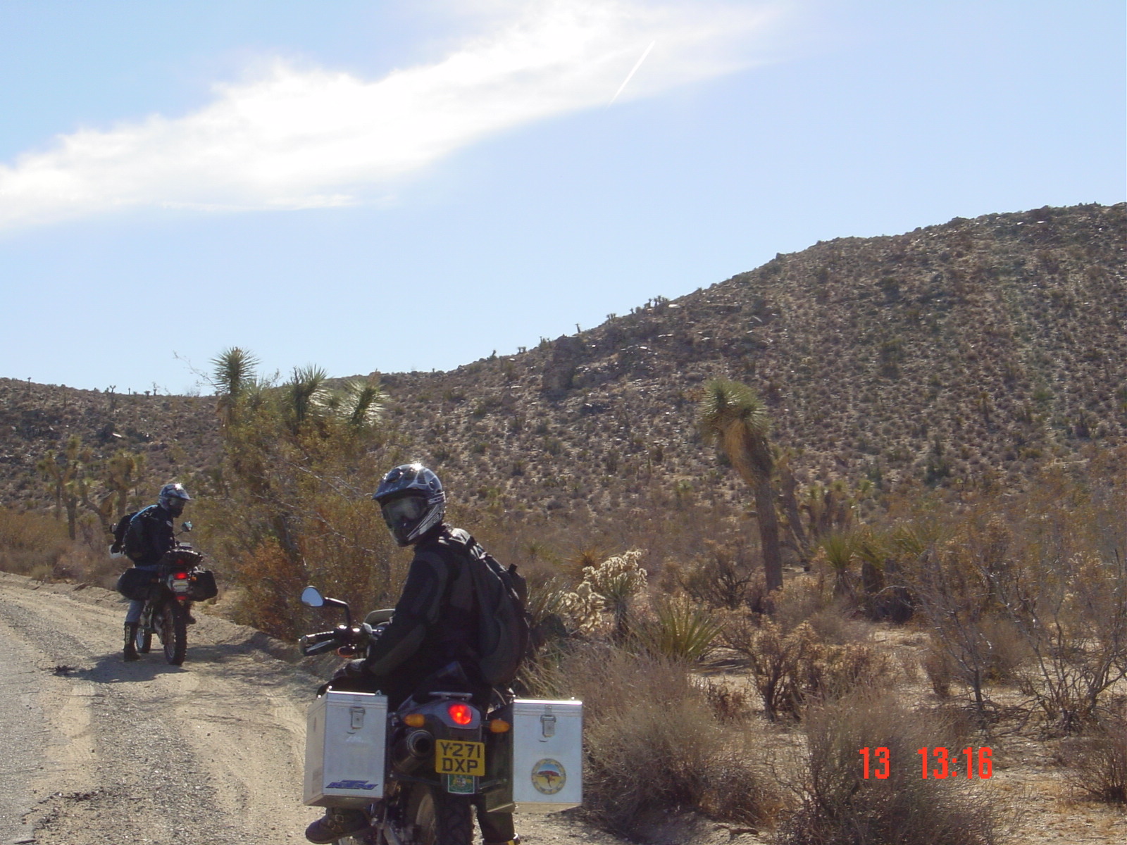 They are everywhere - taking a back road through the park