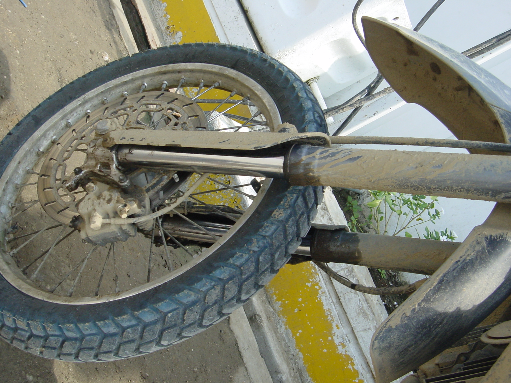Front forks oil leak Previous 