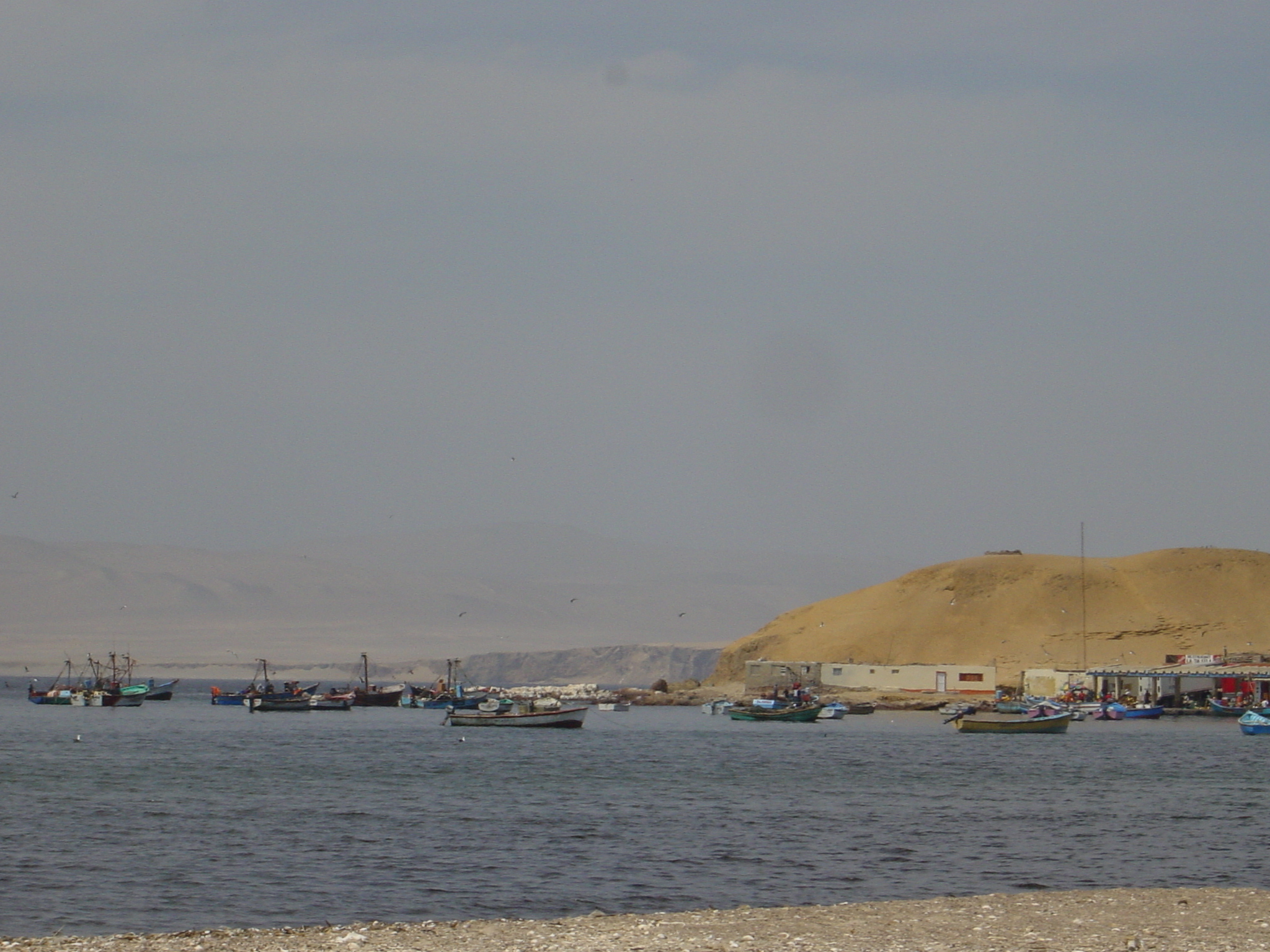 Fishing boats in Paracas National Reserve, Pisco.