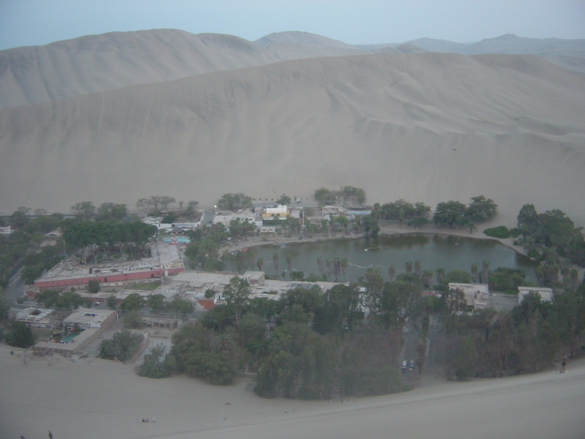 This really was an oasis. (Huacachina)