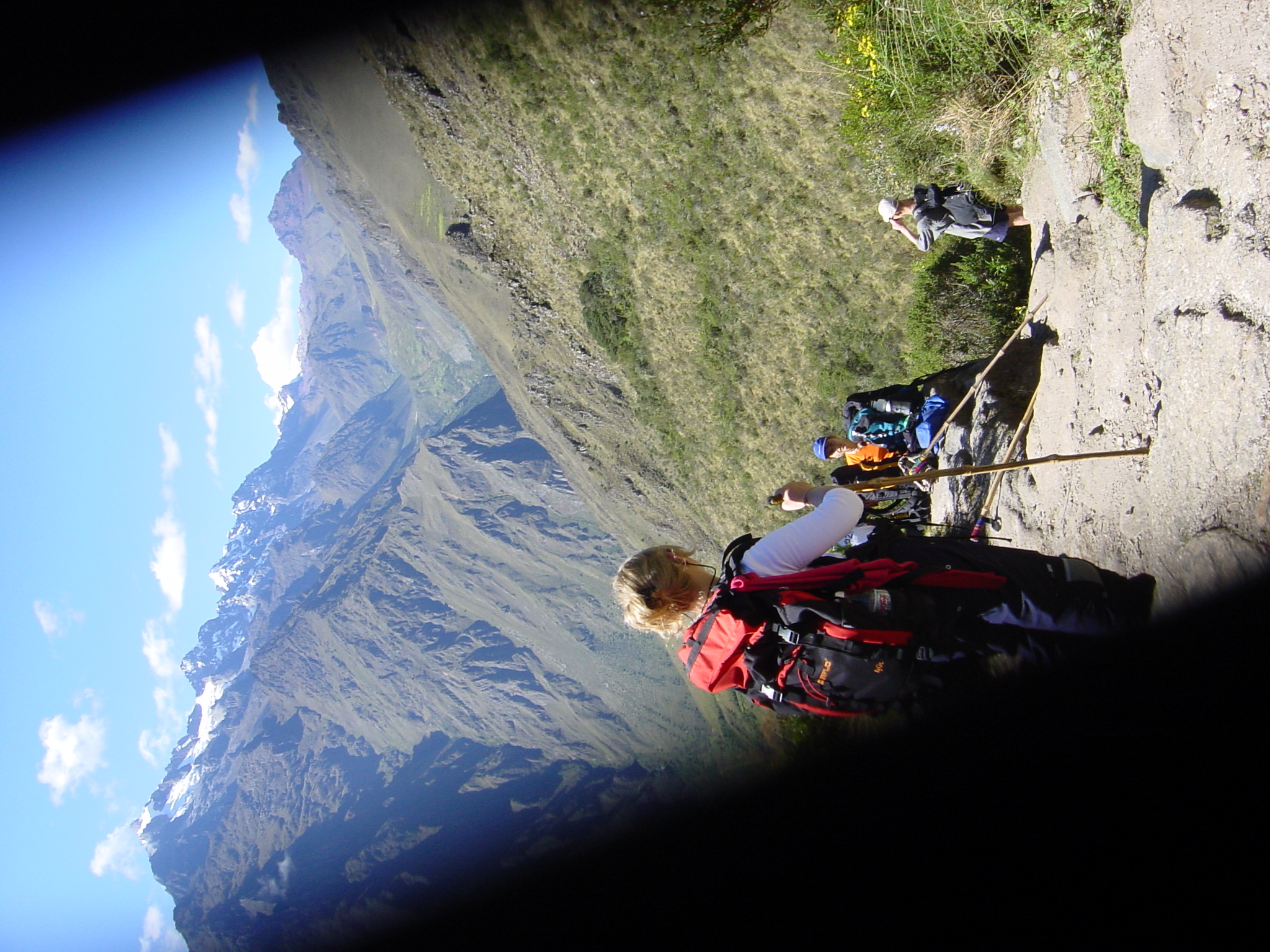 Partial views - dust in the camera causing issues with the mechanism.