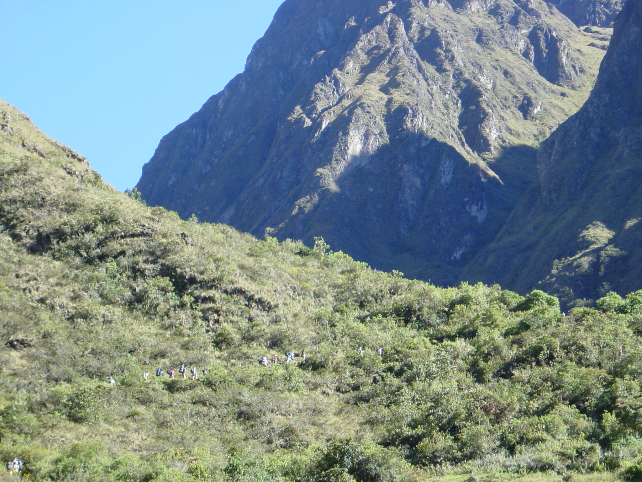Look at all the little ants climbing up the hill.