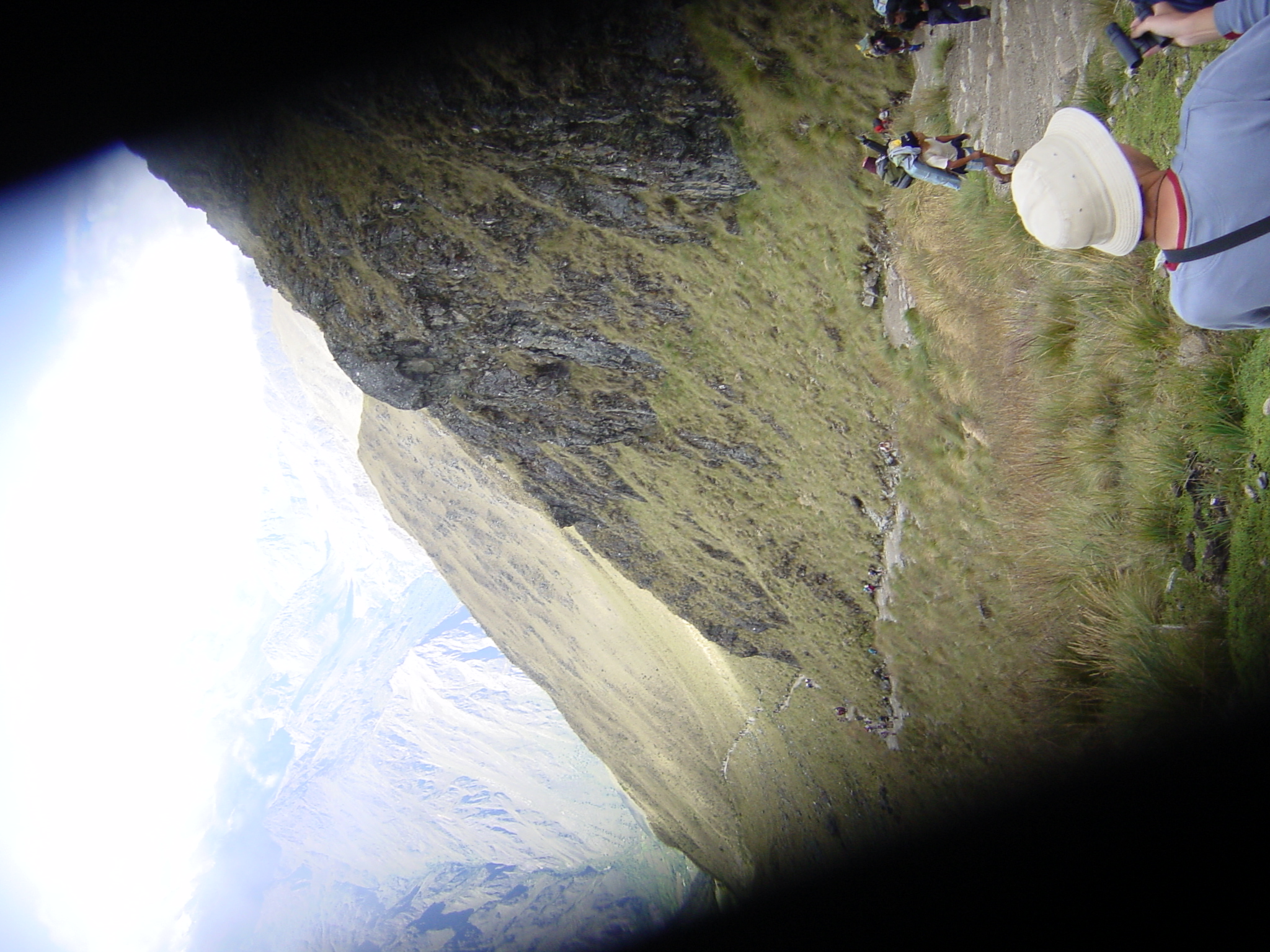 Camera was getting old and stuck - but you can see the ants.
