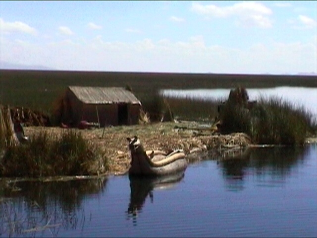 The reed island
