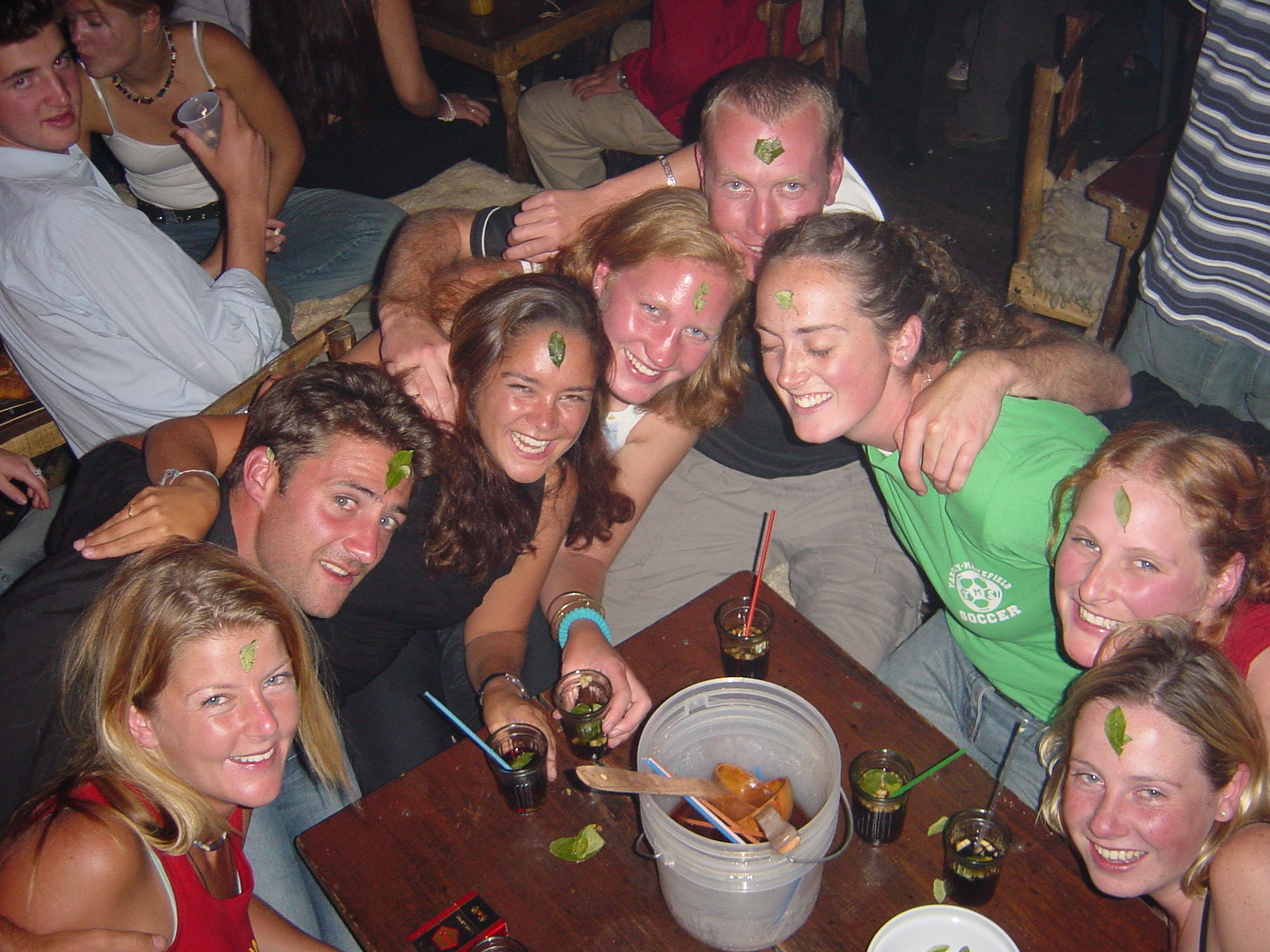 Why did we have Coca leaves stuck to our heads, good question