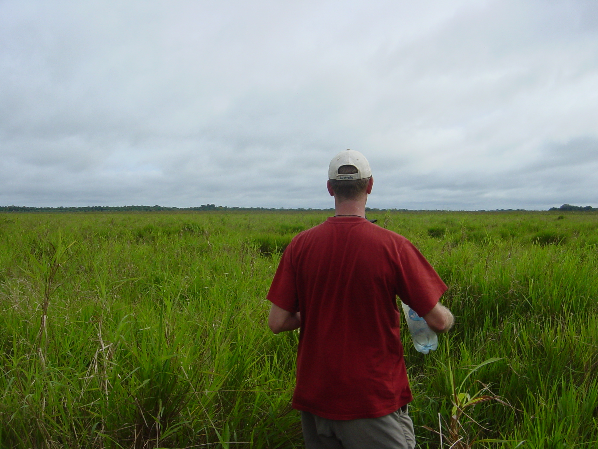 Wade deep water in a swamp where there are piranha and crocs... no problem