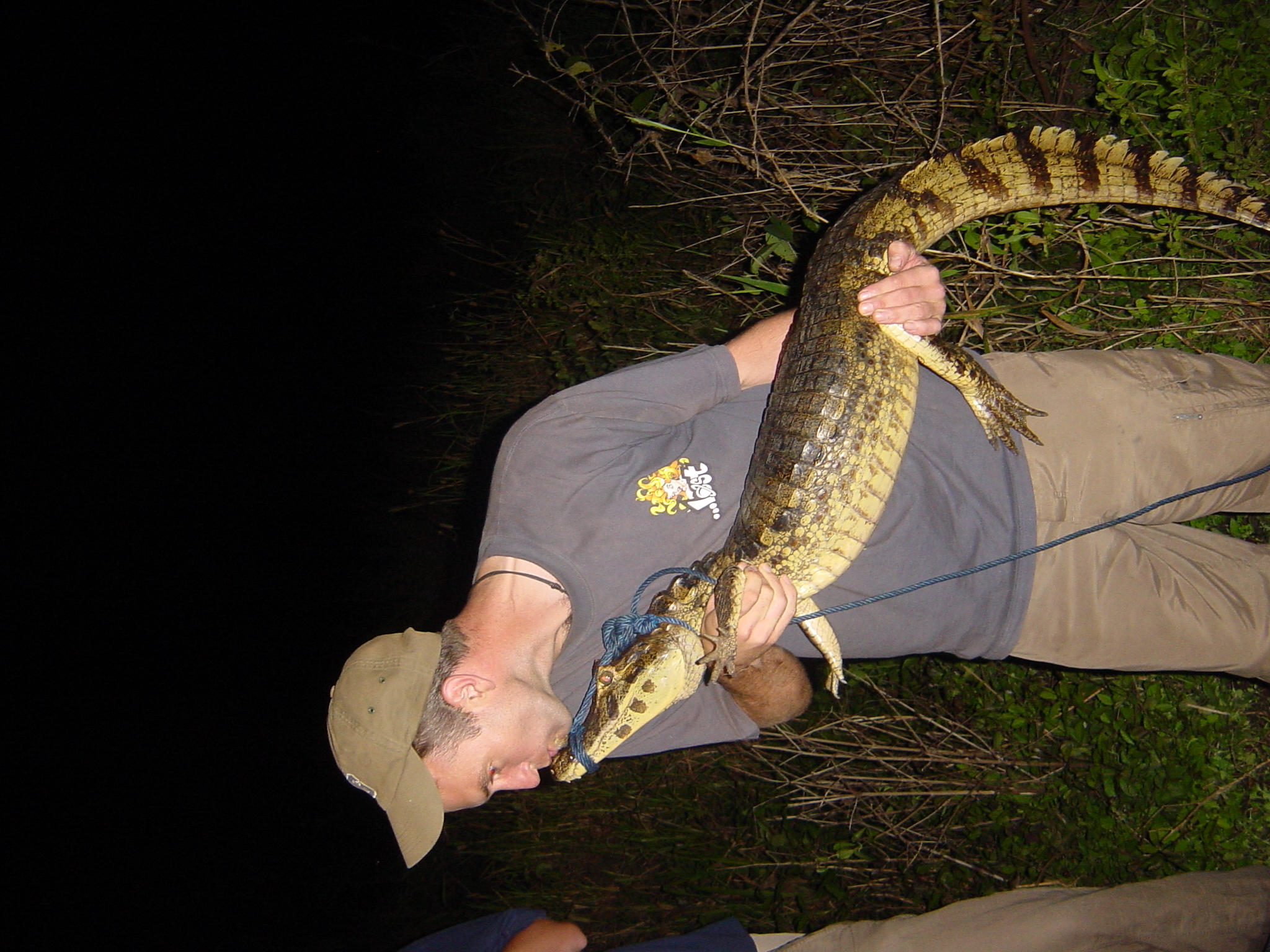 Now how does that song go... you must never kiss a crocodile...