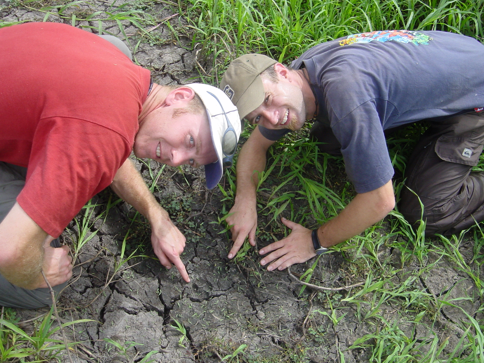 Panther Tracks