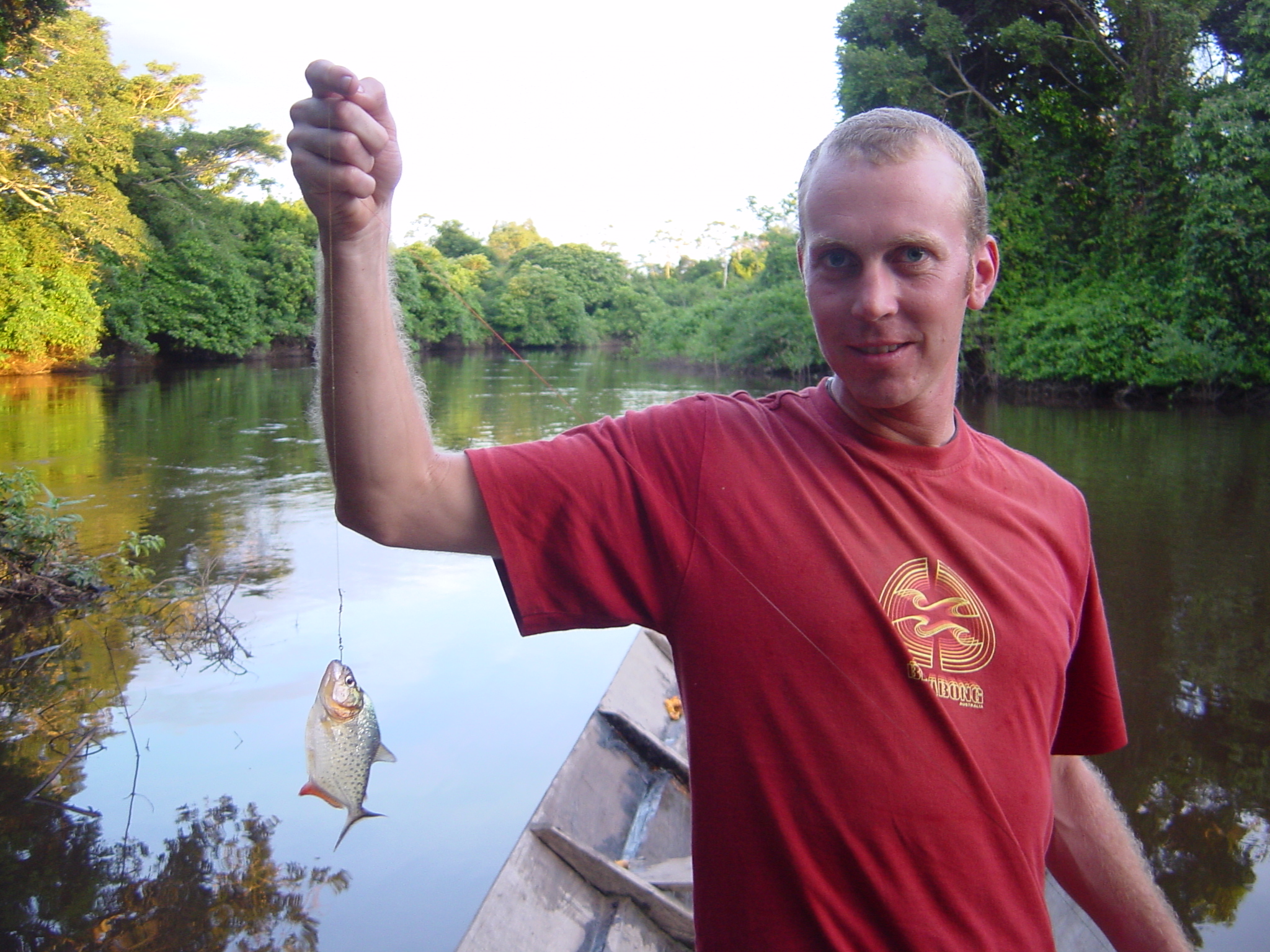 Piranha