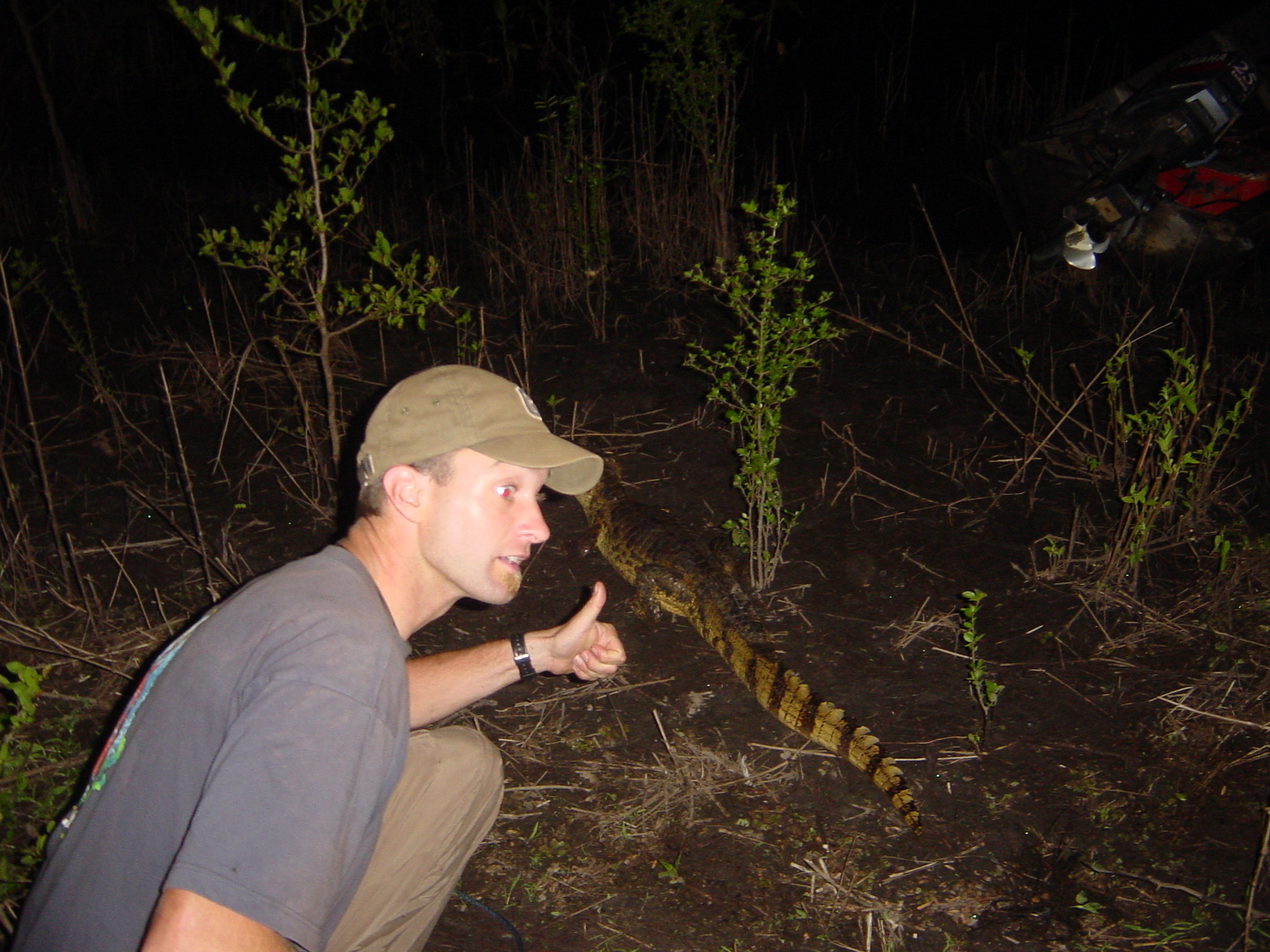 Catch ya later crocodile