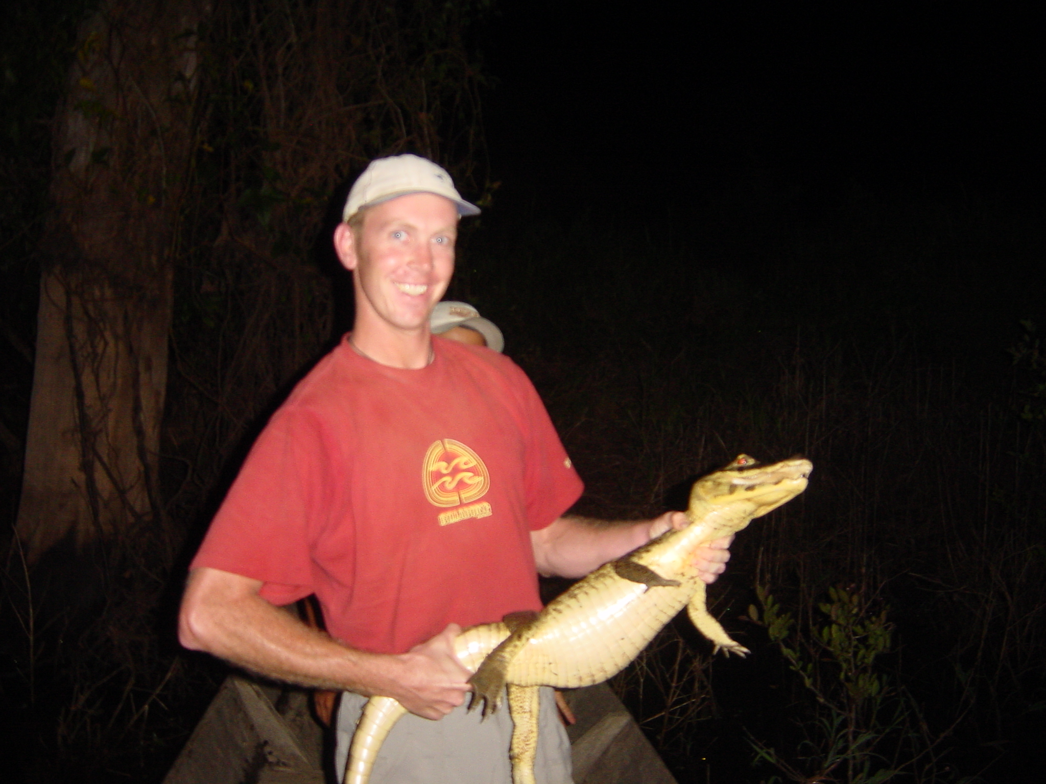 Steve Irwin eat your heart out
