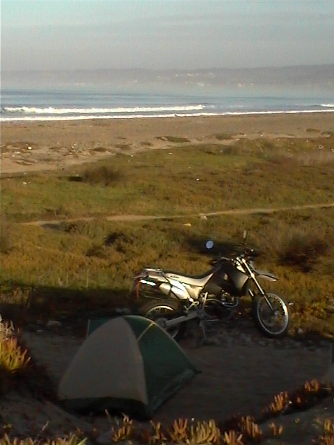 the morning view