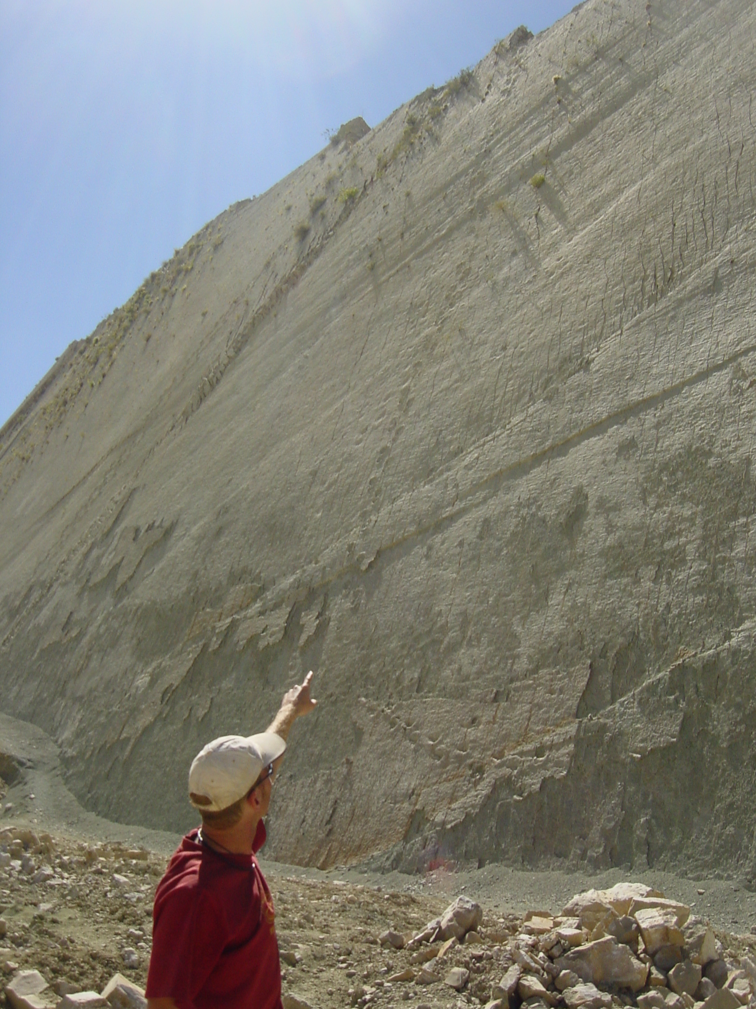 That's where T-rex went - Dinosaur footprints in a mine