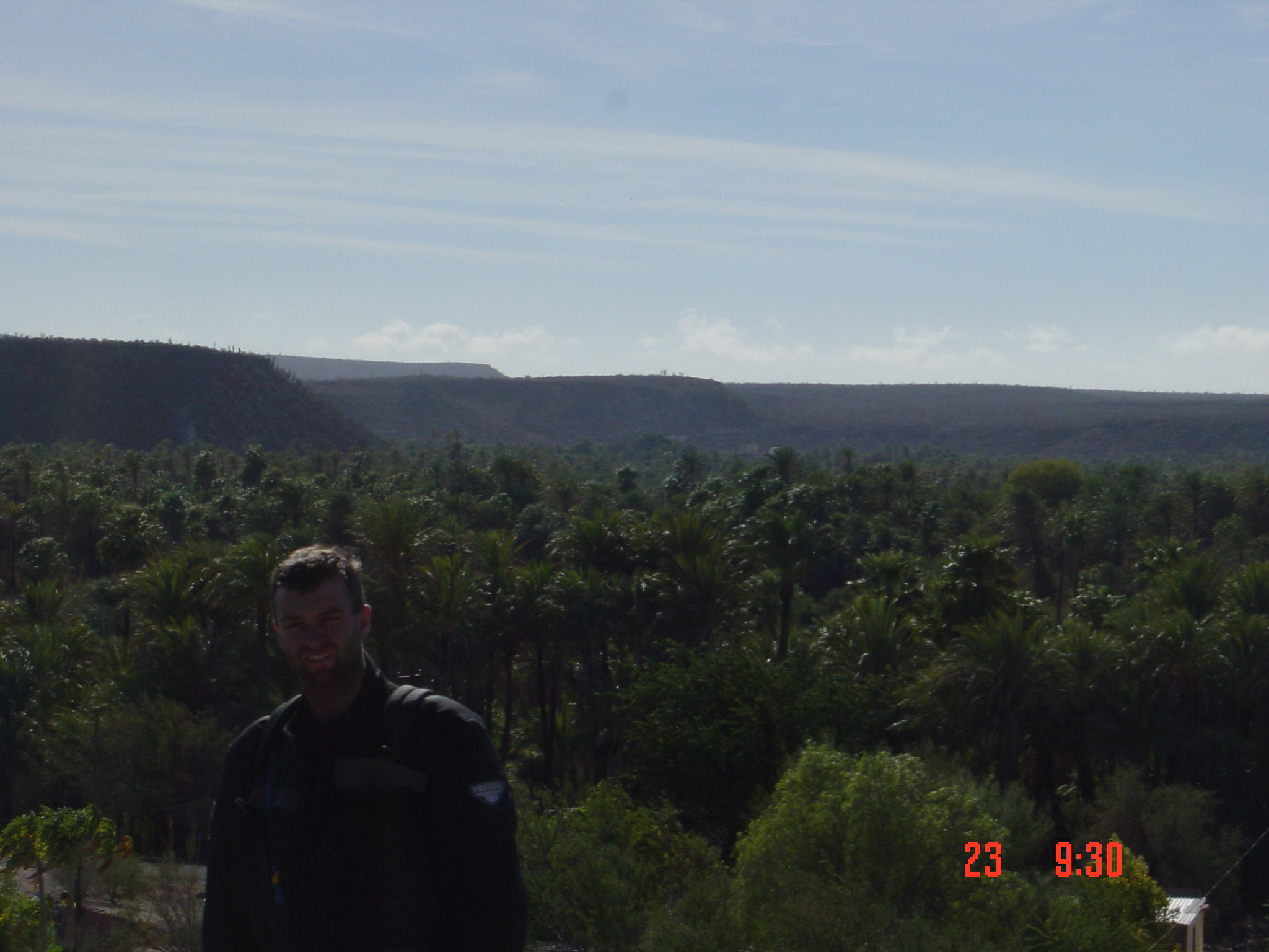 So there are trees in Mexico