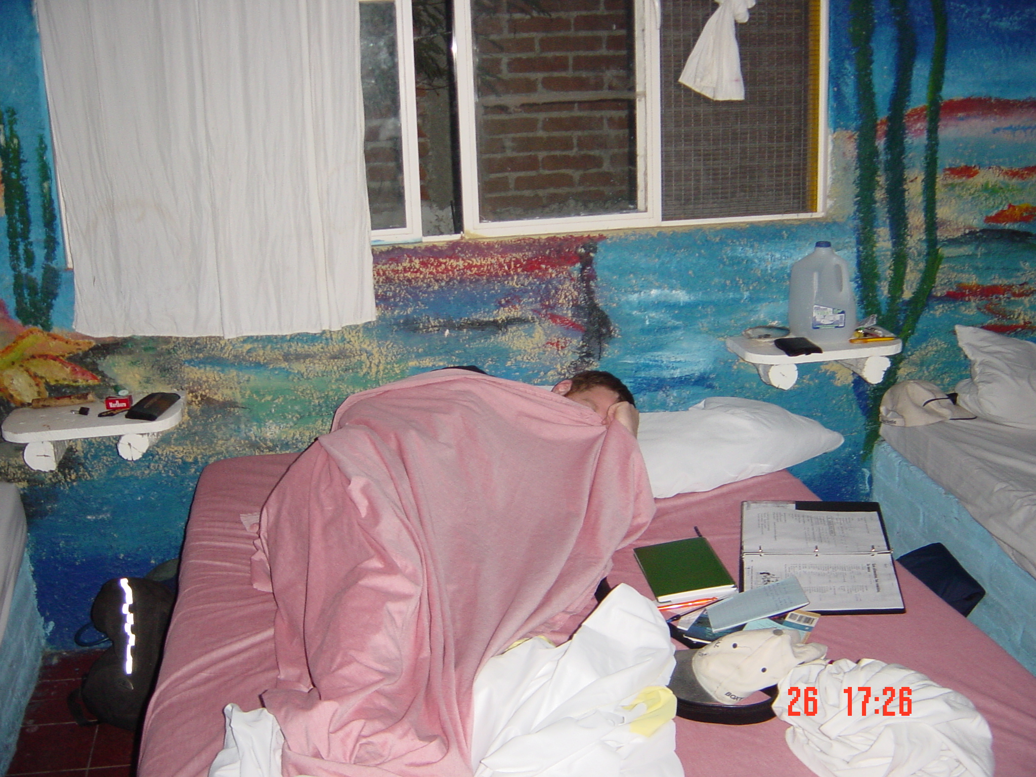 Boxy dedication with his Spanish homework on the bed