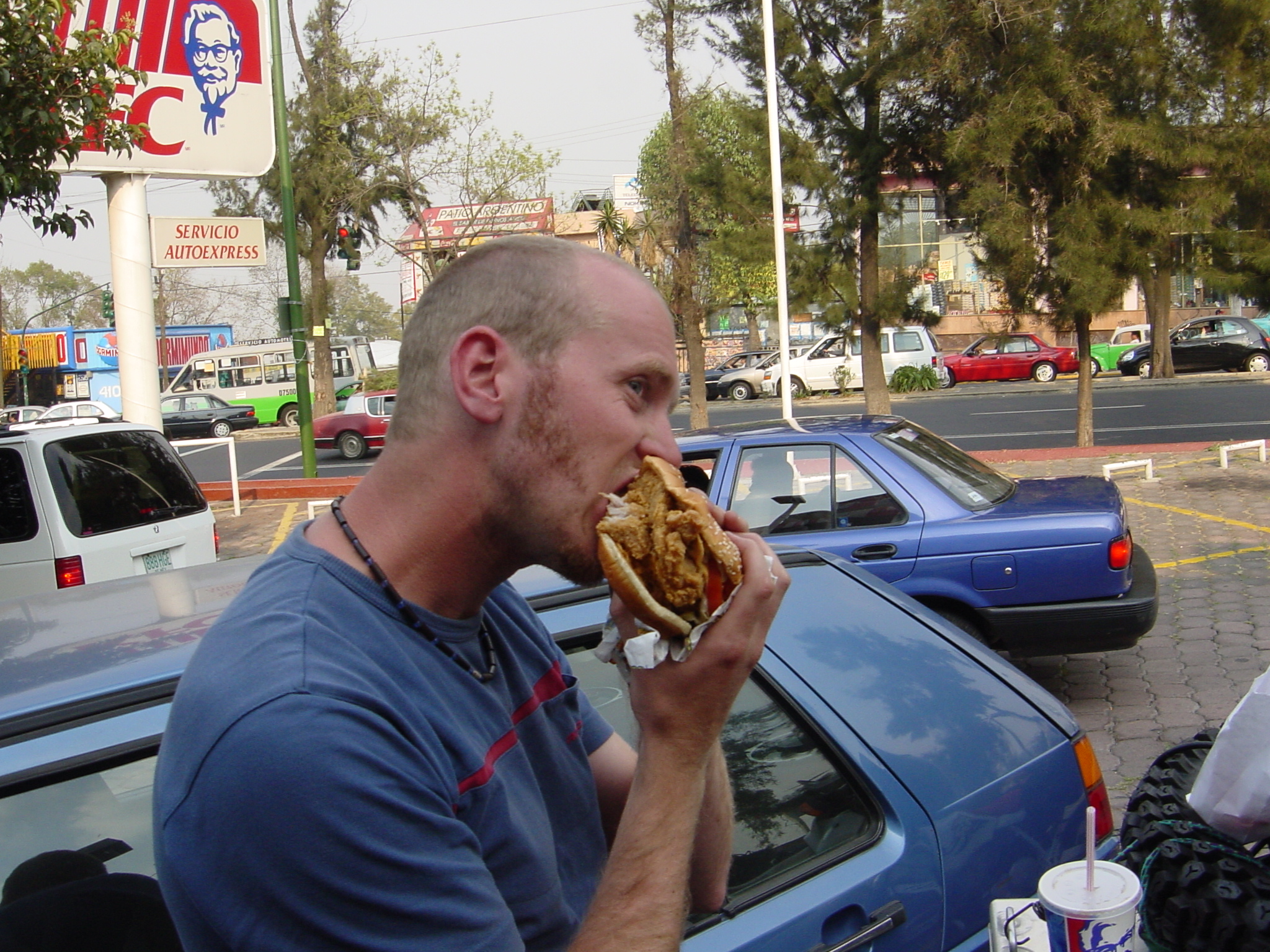 Now that's a big chicken burger