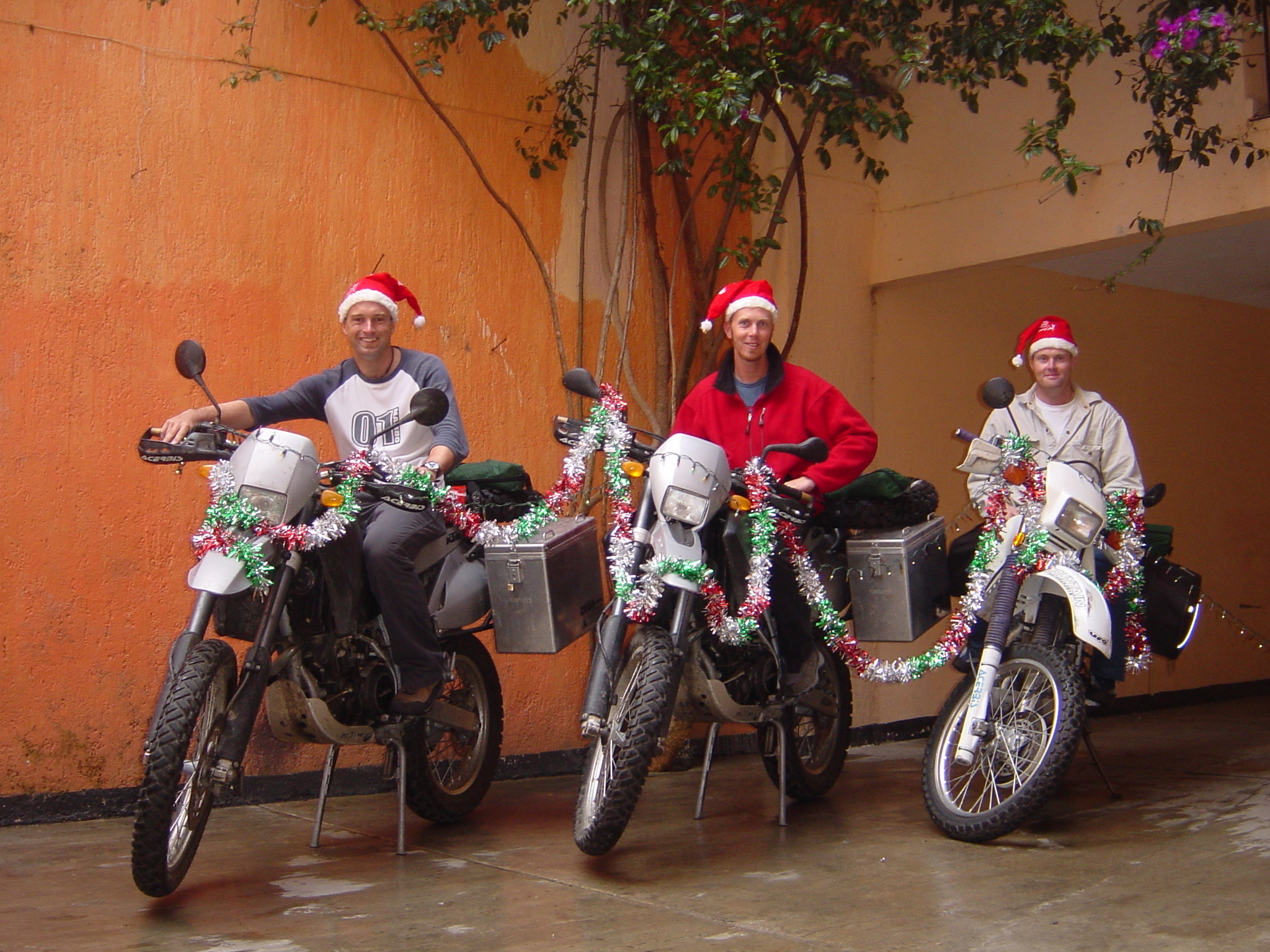 Well that's the Xmas card photo complete