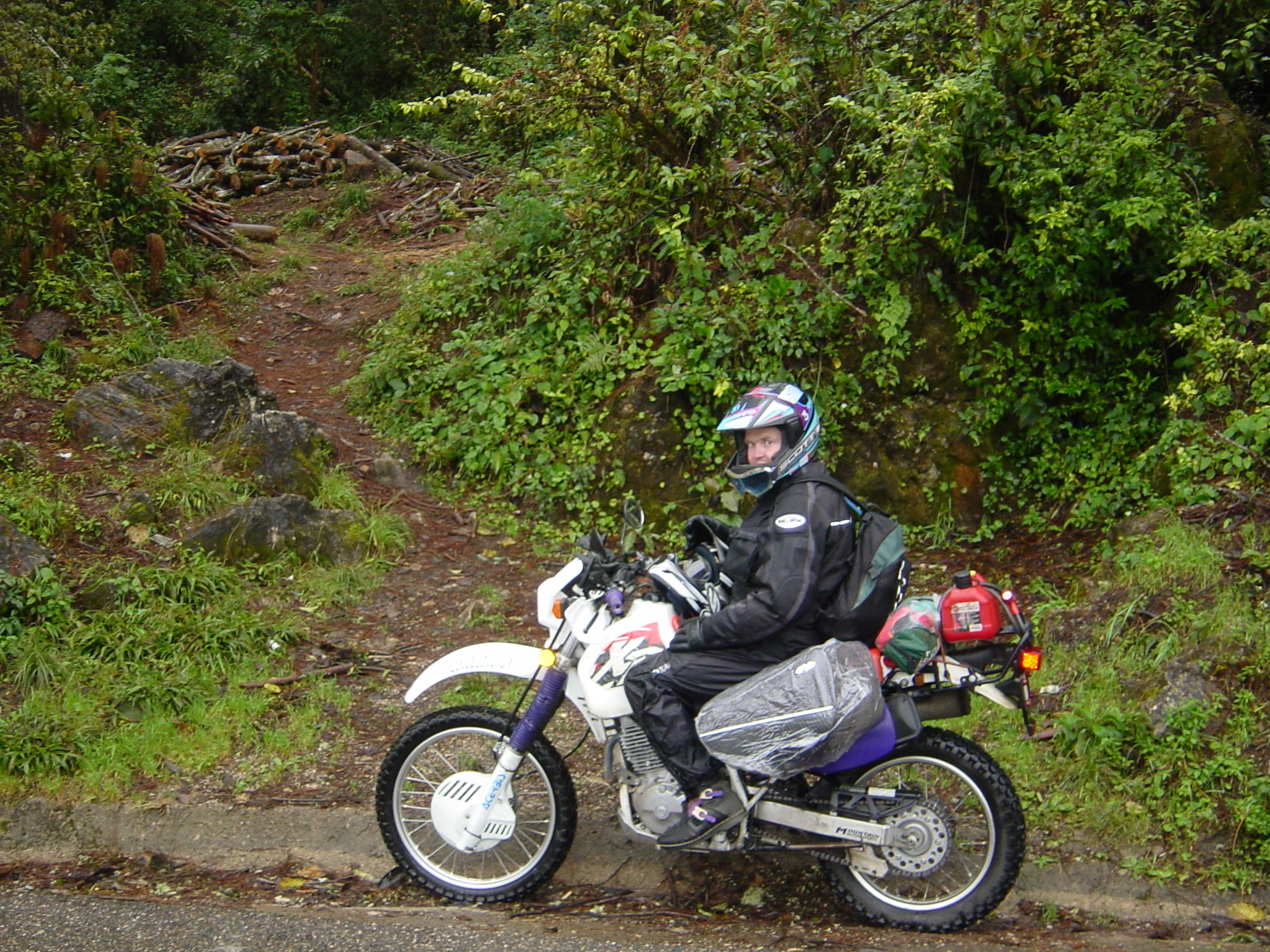 Boxy with his super rain proof bags